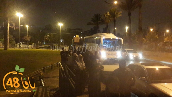 aqsa yaffajbayareq (4).jpg